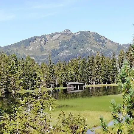 Lackner-krabath * טאמסווג