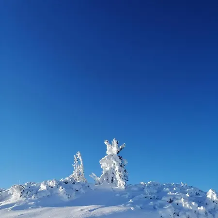 דירה Lackner-krabath *