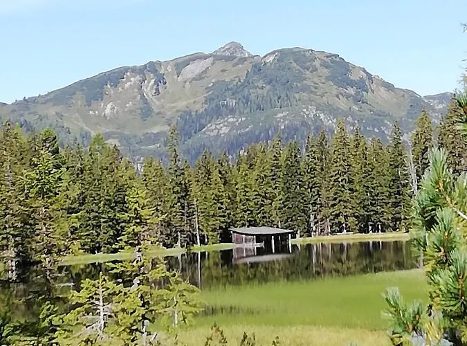 Lackner-krabath * تامسويغ