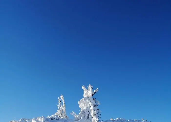 شقة Lackner-krabath *